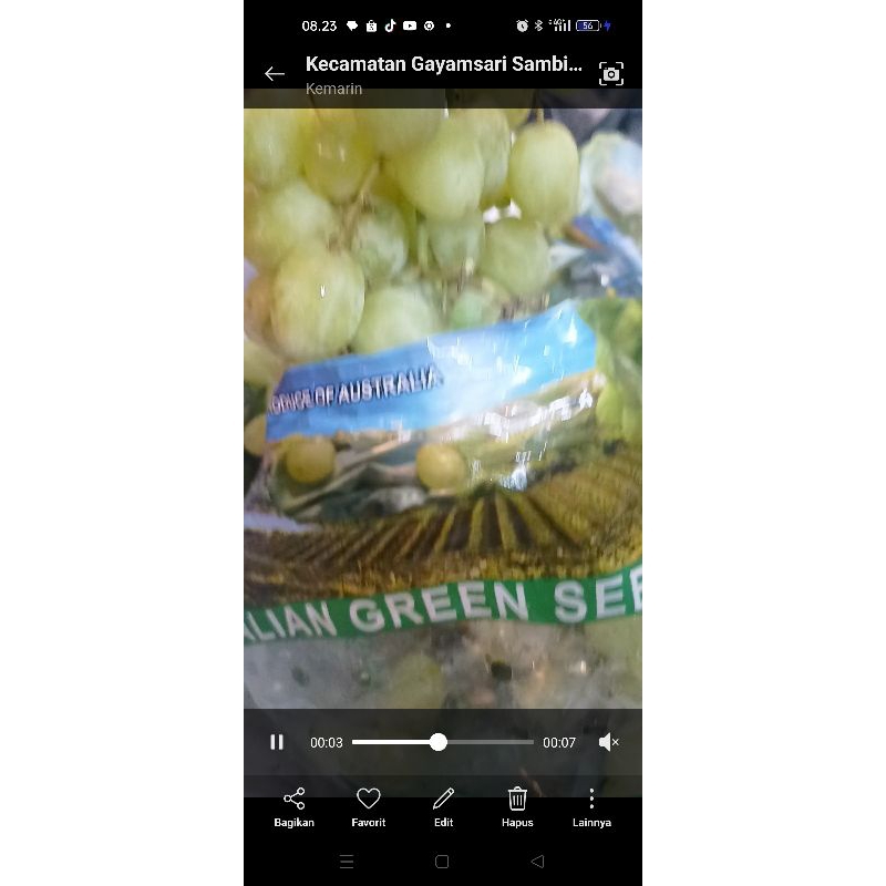 

AUTUMN Crispy, sedles Australian ,400