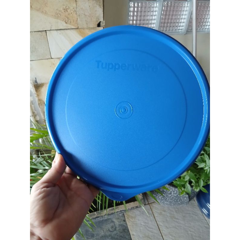tutup tall canister tupperware diameter 24 cm