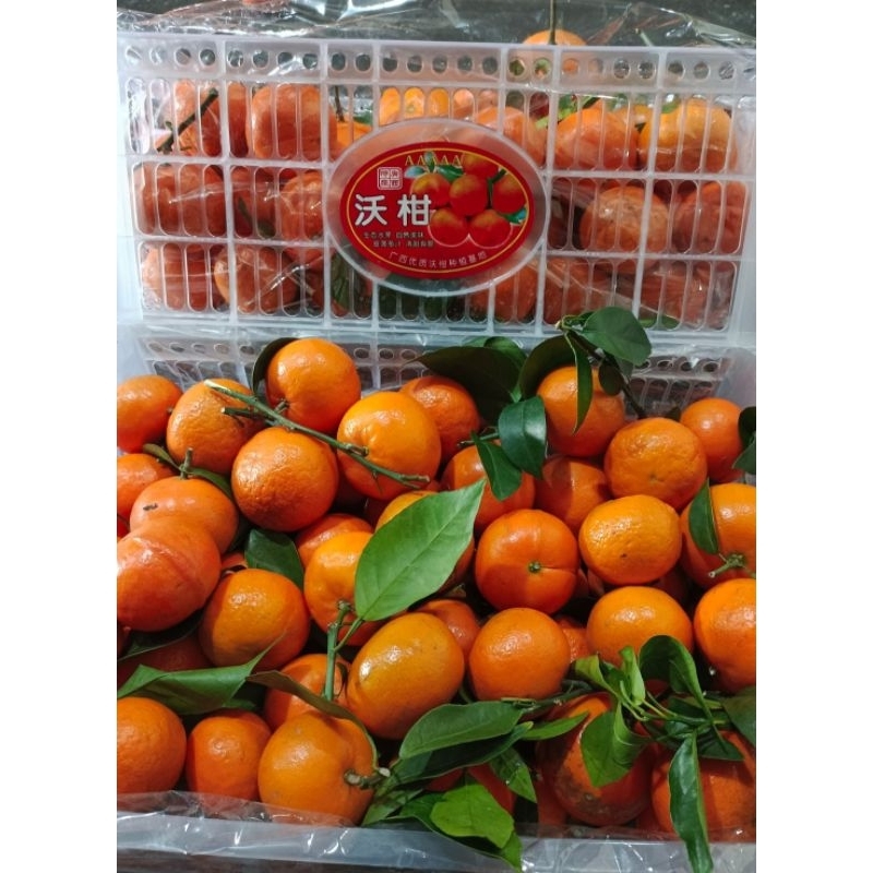 

jeruk wokam fresh 500gram/ 1kg murah