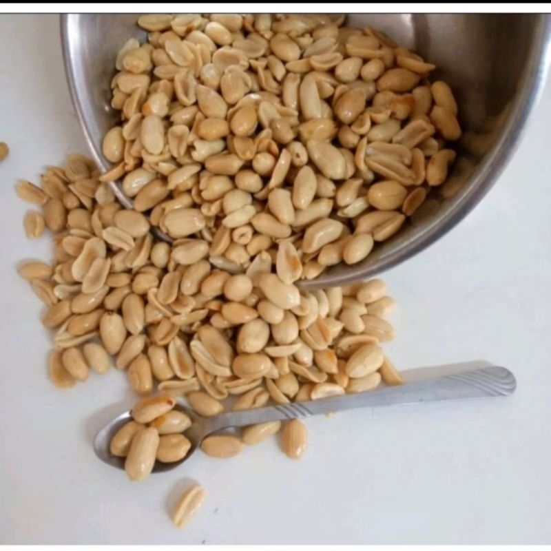 

King store Kacang bawang Tanpa toples