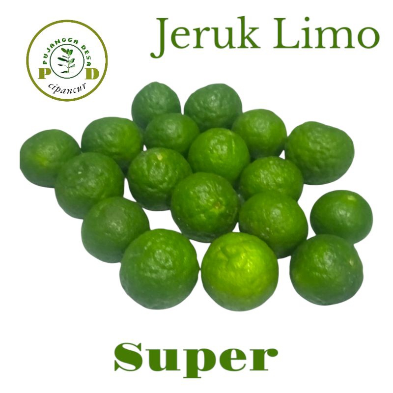 

Jeruk limo/jerus sambal segar langsung petik dari pohon