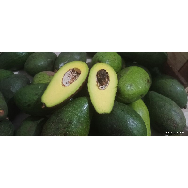 

alpukat pluang jumbo 2 kg isi 2-3