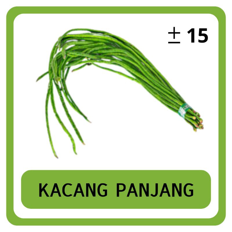 Benih Kacang Panjang Buntut Merah Unggul Eceran 15 Biji