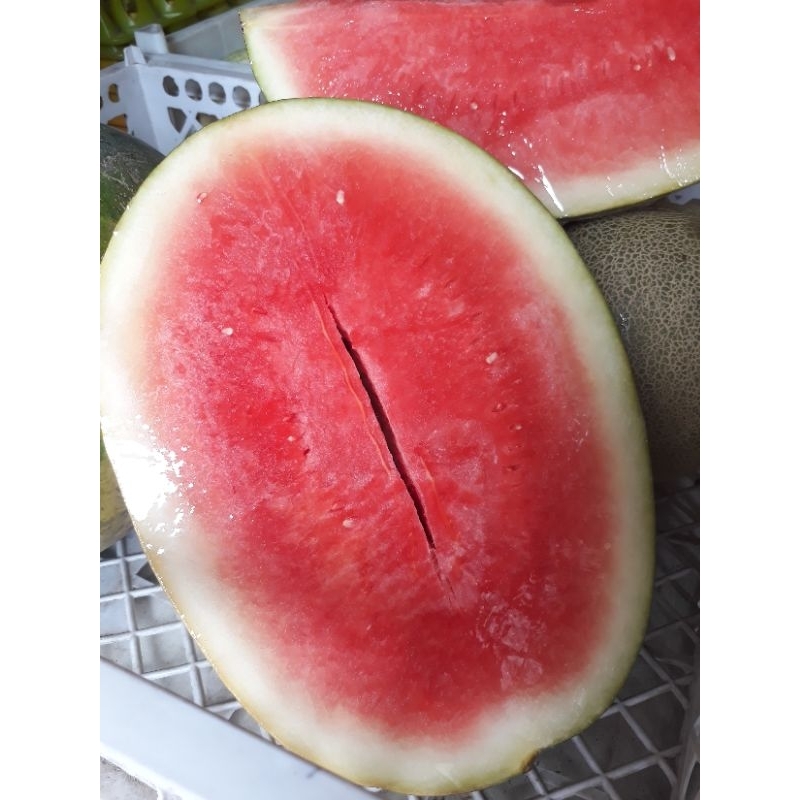 

Semangka Merah Potong Tanpa Biji