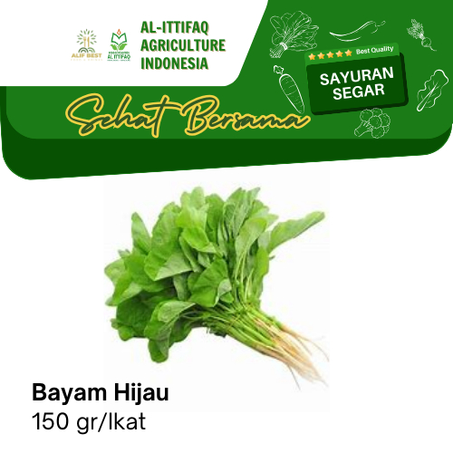 

BAYAM HIJAU SEGAR 150 GR/IKAT