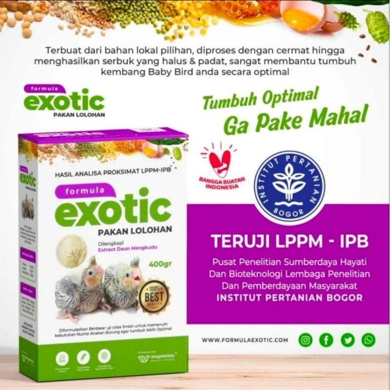 FORMULA EXOTIC KEMASAN KOTAK 400 GR PAKAN BUBUR BURUNG ANAKAN LOVEBIRD FALK PARKIT FINCH DLL LOLOHAN