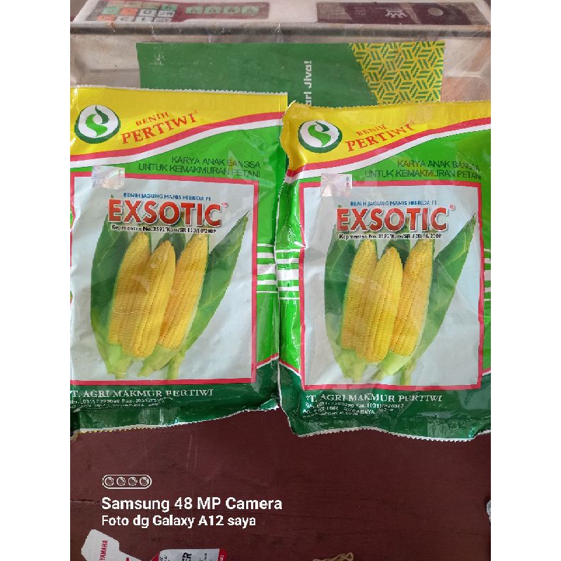

Benih Jagung Manis Exotic Pertiwi – Panen Cepat, Tahan Penyakit | Original 1750 Butir
