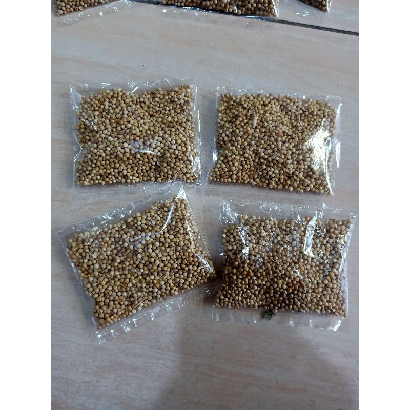 

ketumbar biji bersih original