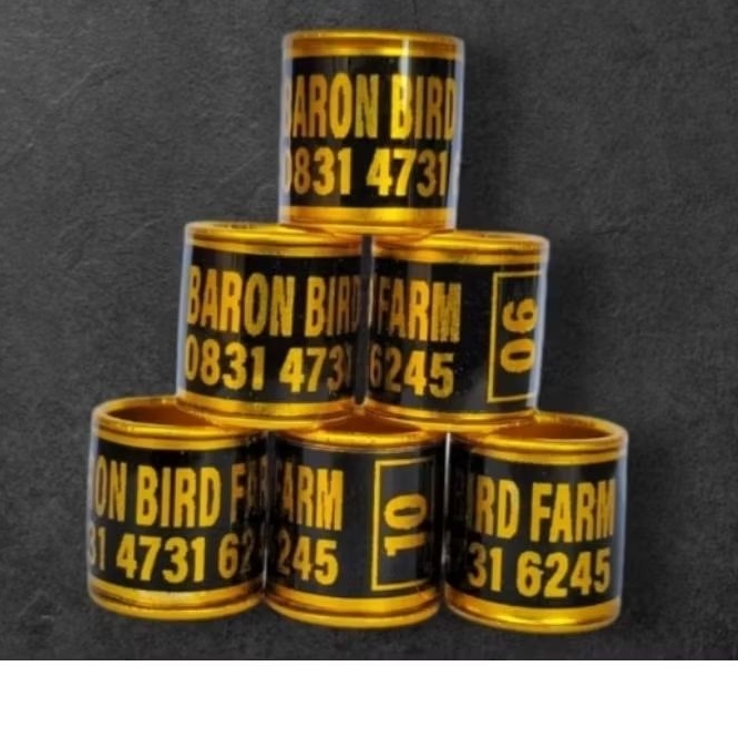 RING BURUNG MODEL RODA TINGGI 1CM LUBANG DALAM 8MM KHUSUS MERPATI/RING RODA MENGKILAP SEPERTI RING K