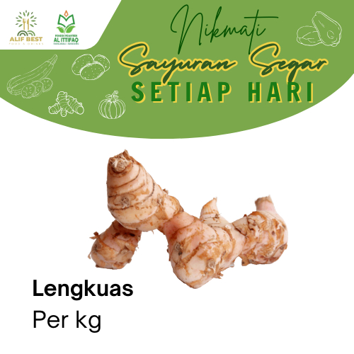 

LENGKUAS SEGAR PER 1 KG