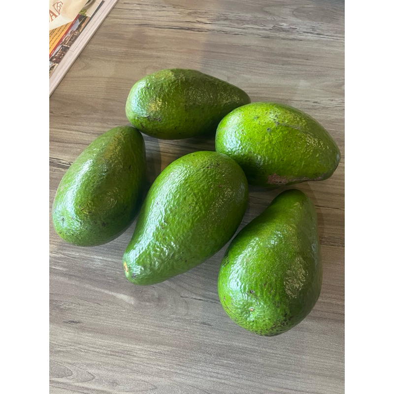 

Alpukat mentega kualitas jossss