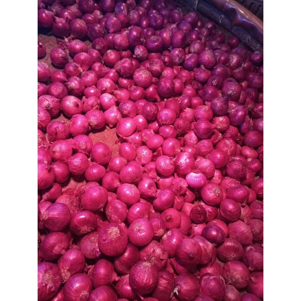 

bawang merah murah 1kg termurah flash sale fresh bawang merah import vietnam