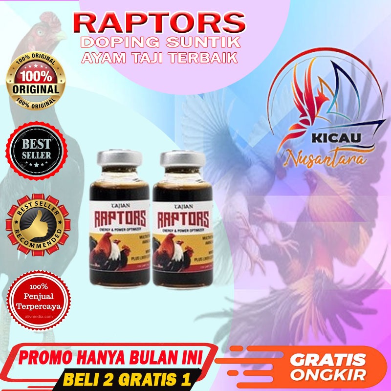 Raptors Doping Ayam Aduan Pisau Taji Laga Terbaik