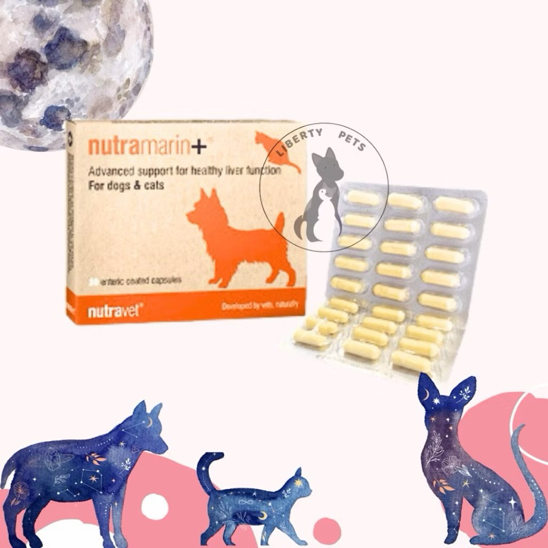 Nutramarin + Plus Obat Gangguan Liver (Hati) Hepatic Hepato Kucing & Anjing Pengganti Samylin (1 Str
