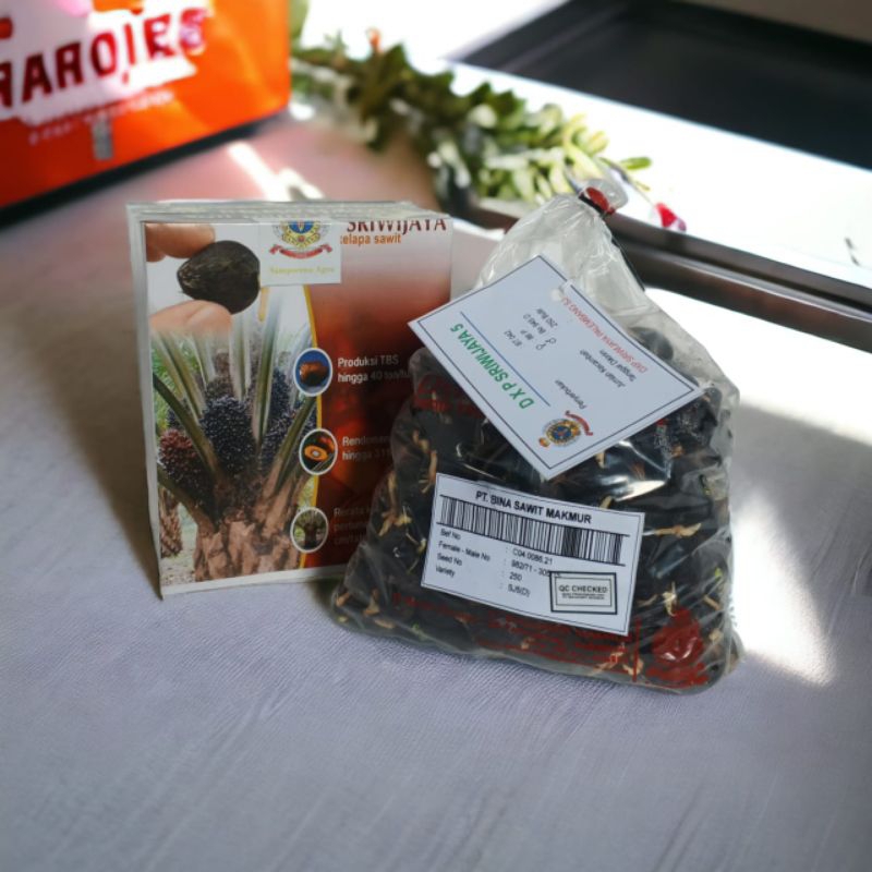 Bibit Kelapa Sawit DXp Sriwijaya 5 ORIGINAL Isi 250 Butir Resmi