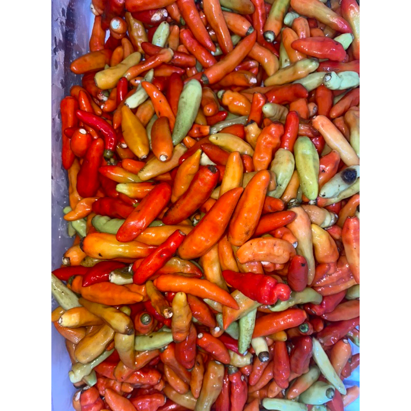 

CABAI RAWIT MERAH / CABE RAWIT / CABE SETAN / CABE ORIGINAL PREMIUM