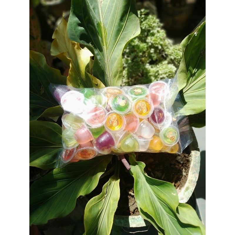 

Jelly Inaco 1kg