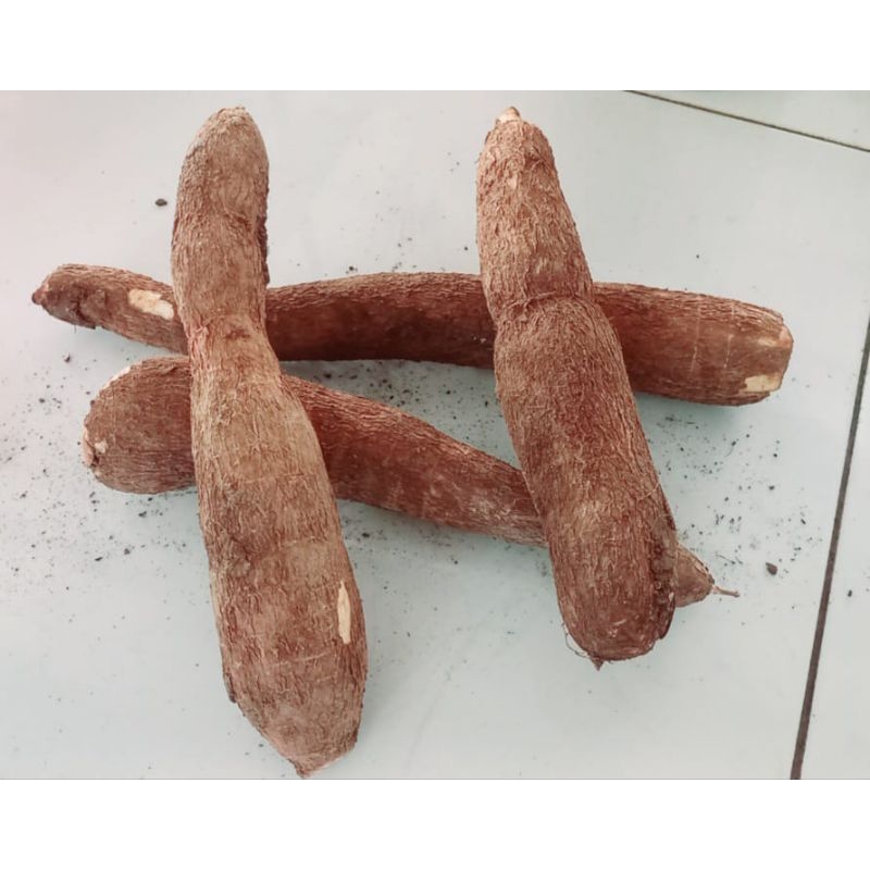 

ketela pohon/pohong/ketela super