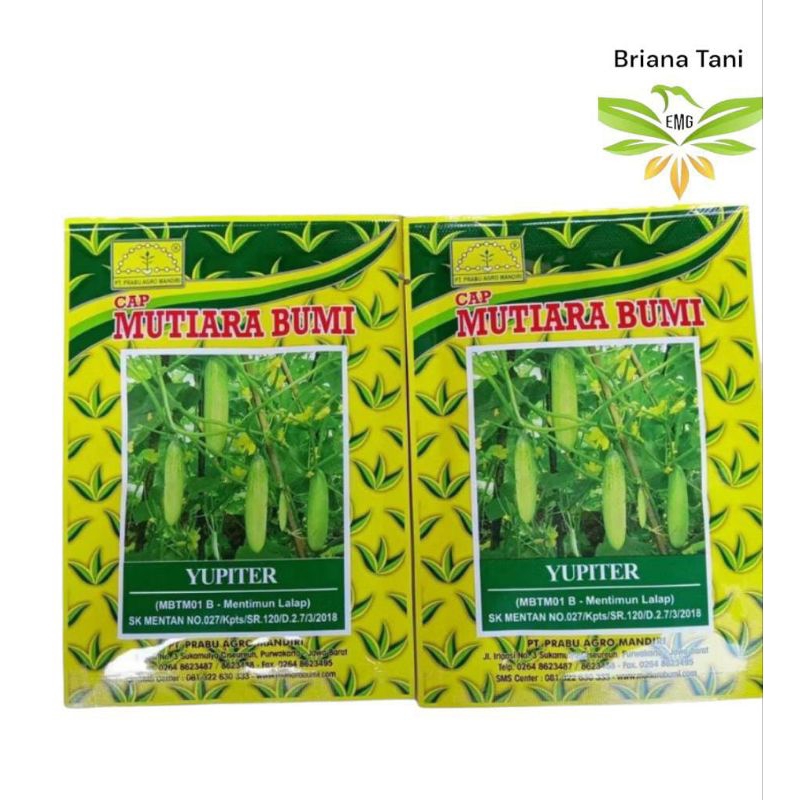 Yupiter 20gr Benih Timun Mentimun Lalap Mutiara Bumi Semi