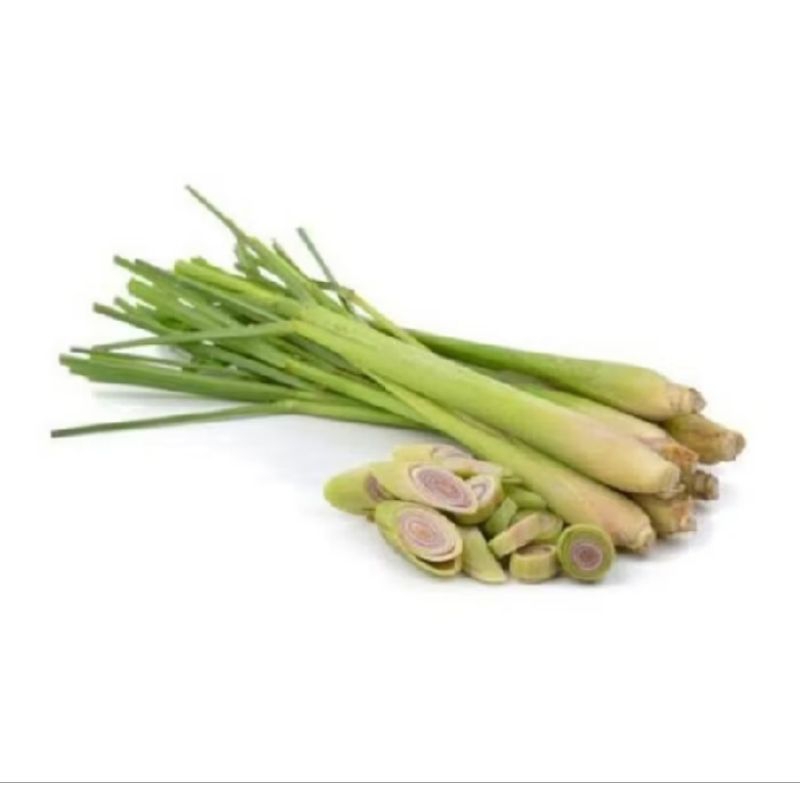 

Serai / Sereh Fresh 1Kg