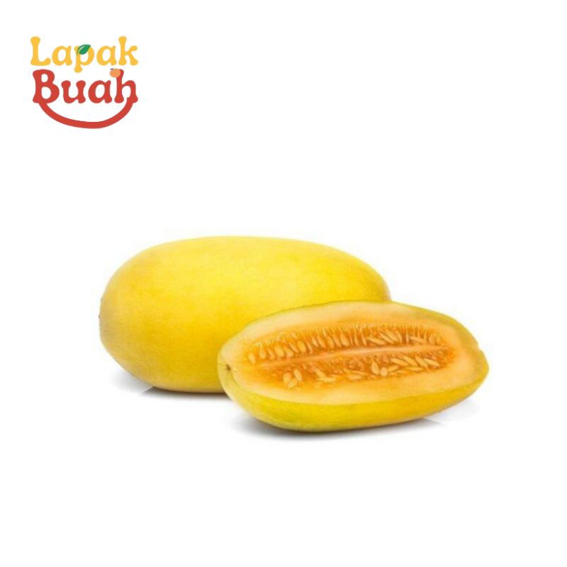 

BUAH TIMUN SURI 1BUAH
