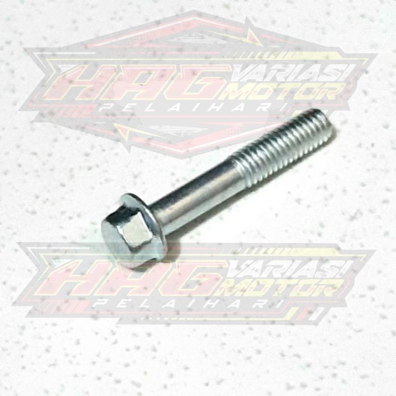 Flange Bolt M6x35