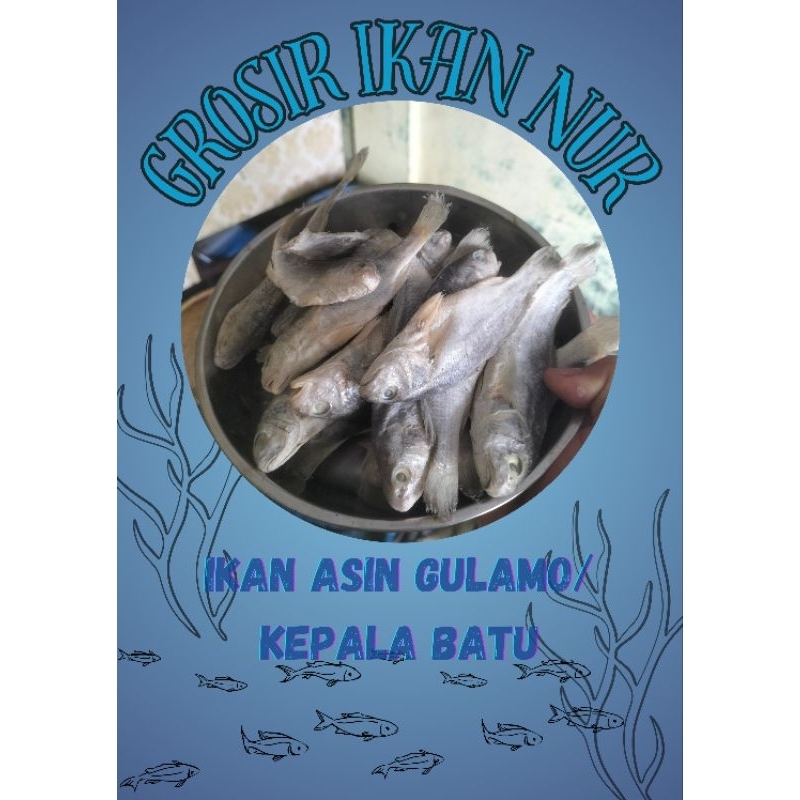 

Ikan Asin Gulamo Kepala Batu