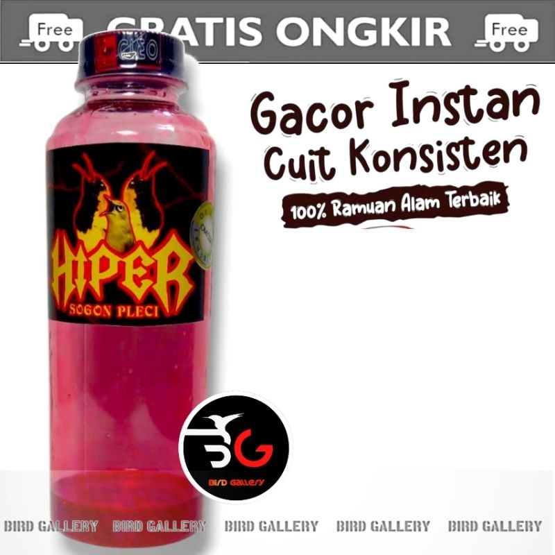 HIPER PLECI MERAH METABOLISME PLECI BOTOL MERAH