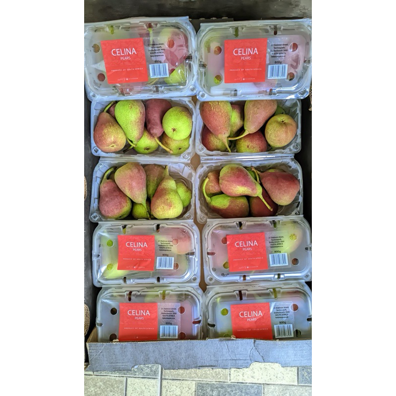 

PEAR CELINA PACK 10 x 800GR READY