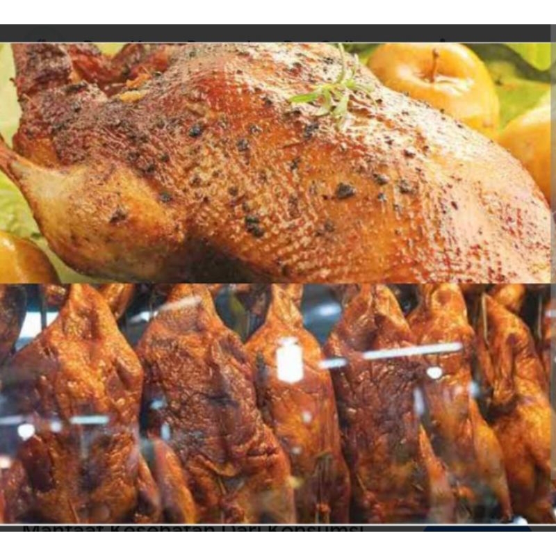 

daging bebek kampung