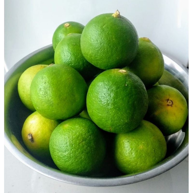 

Paket 2Kg | promo jeruk nipis kemasan 2kg