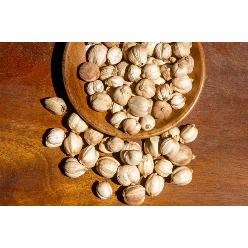 

kapol laga kering 100 gram