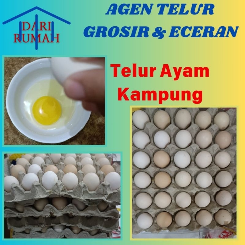

Telur ayam kampung Fresh Termurah