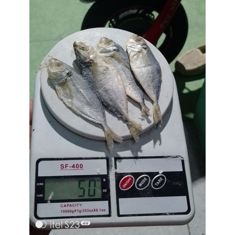 

50gr ikan asin selar enak