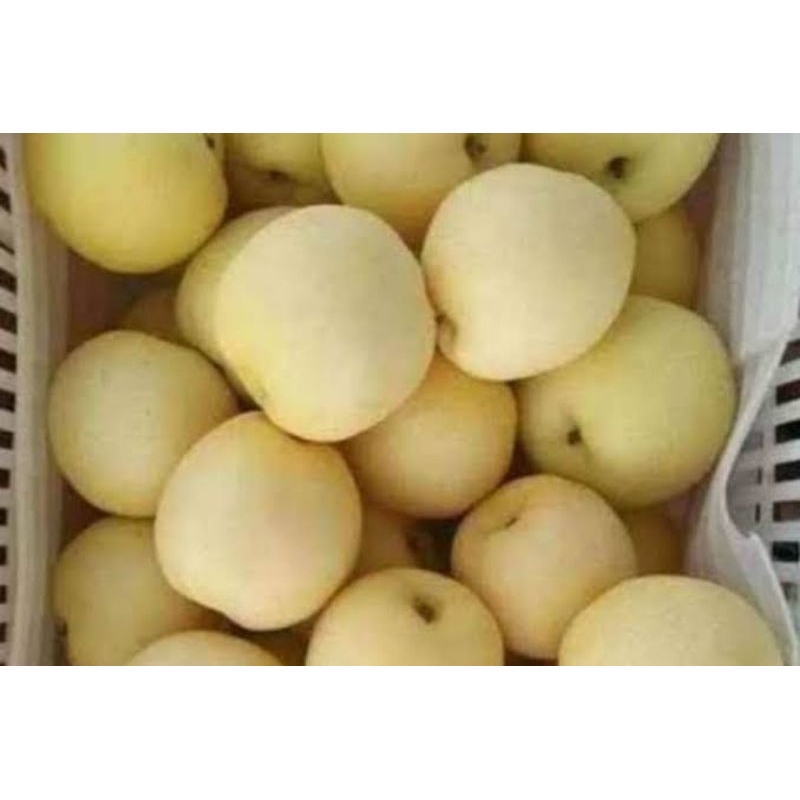 

Pear century 1kg/pir century 1kg/ buah pear century 1kg/ buah pir 1kg