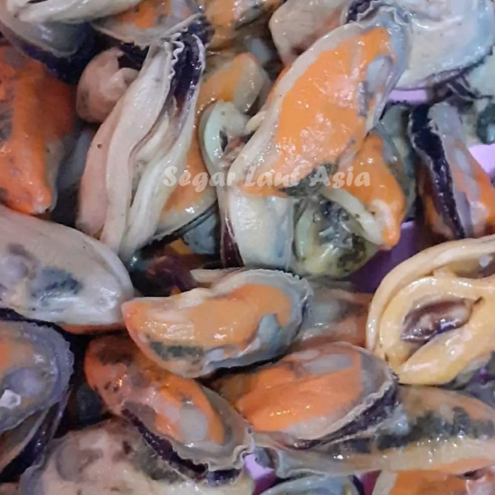 

Kerang Hijau Kupas Segar Daging Kerang Hijau Kerang Ijo Seafood Kerang Laut Segar 1Kg