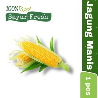 

Jagung Manis SayurFresh 1 pcs