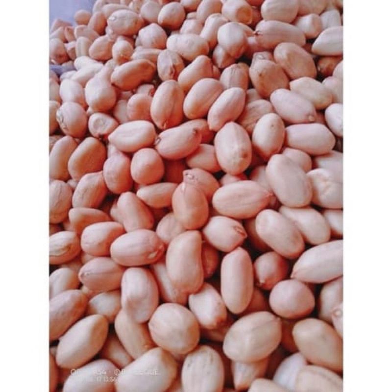 

Kacang tanah madura