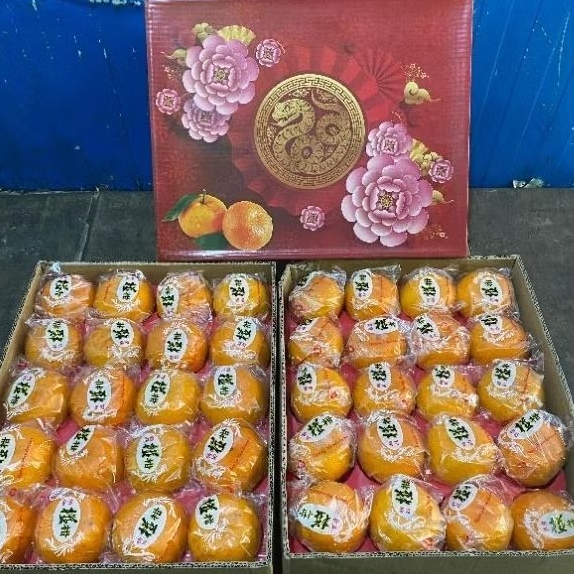 

Jeruk Ponkam Curah Full Manis 1 Dus [ ±9Kilo ]