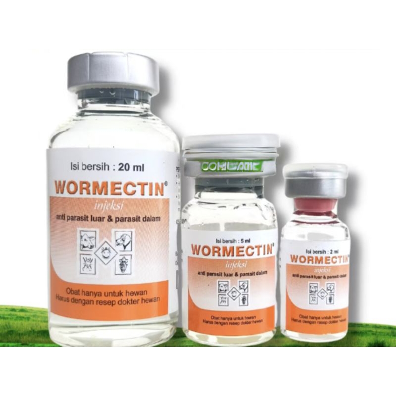 Wormectin injek obat parasit luar dan parasit dalam pada hewan ternak