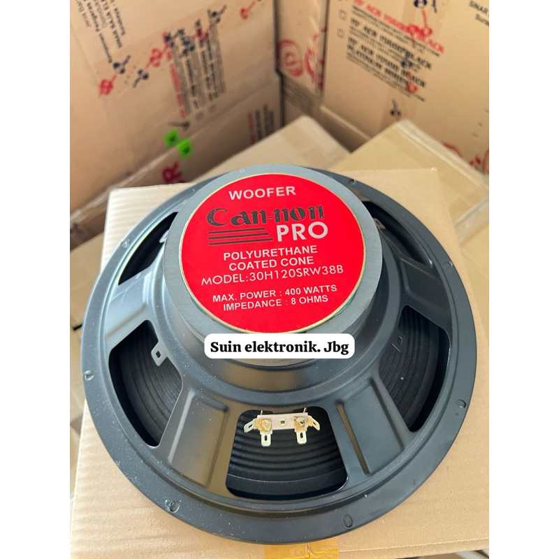 SPEAKER 12 INCHI CANON WOOFER