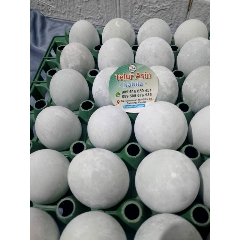 

TELUR ASIN NABILA