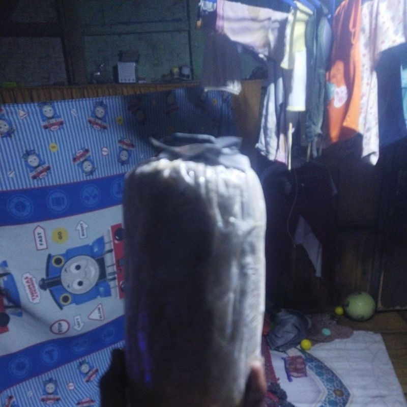 

baglog jamur