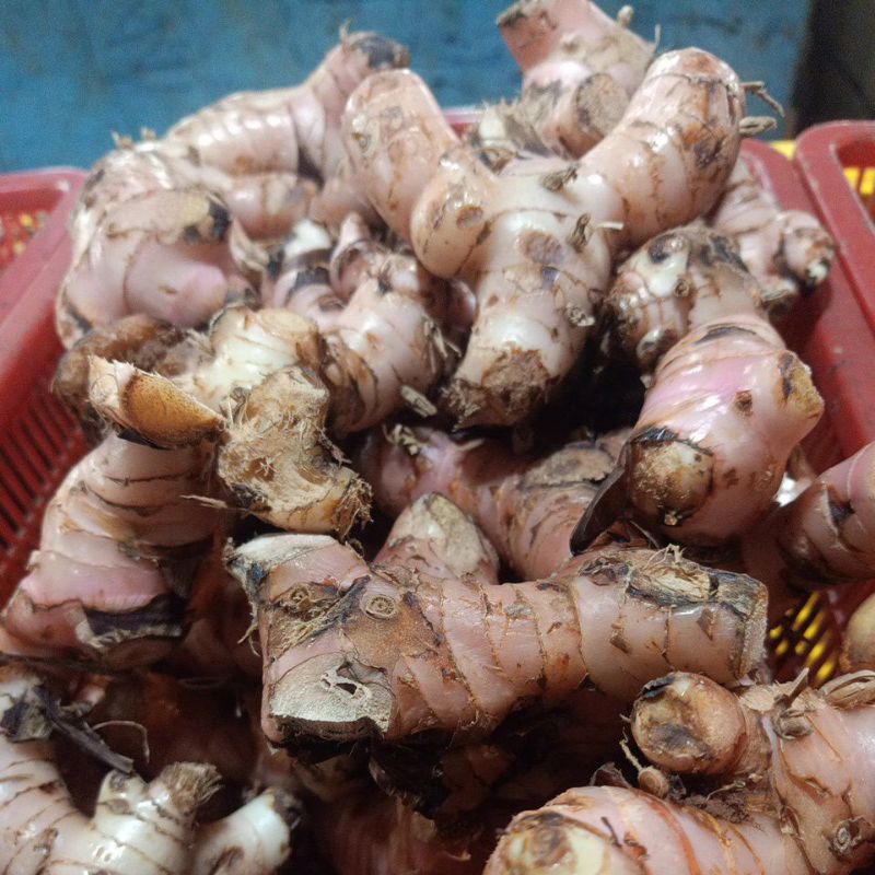 

Lengkuas/Laos Ukuran 250g/500g/1Kg