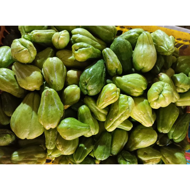 

labu kecil 250gr