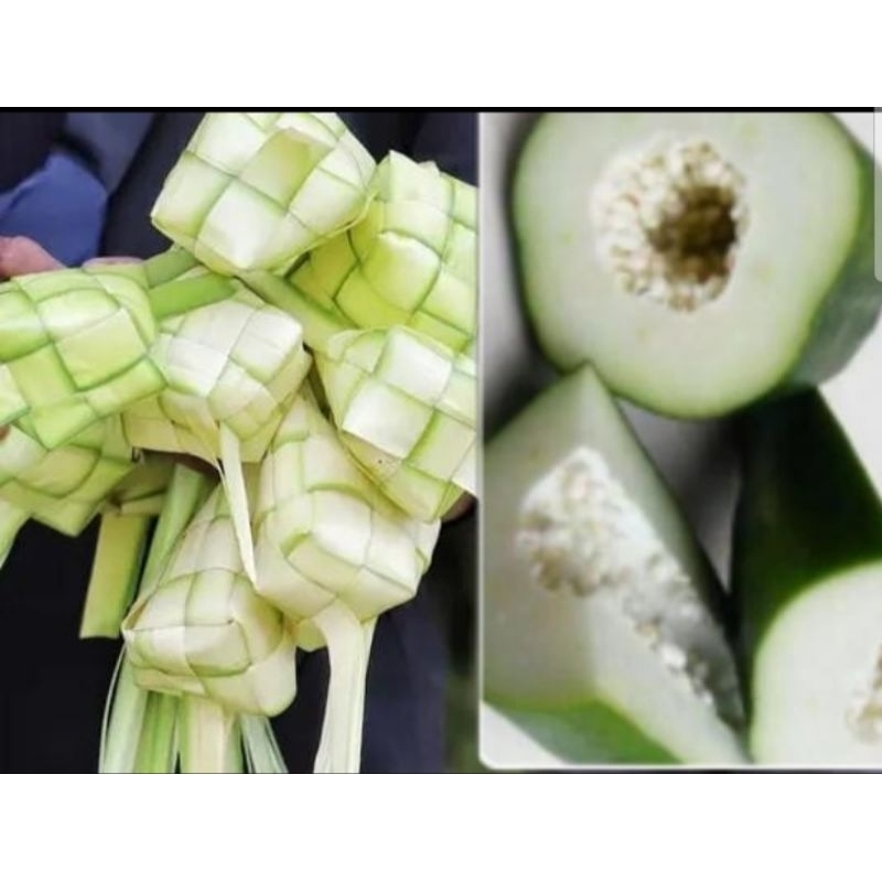 

kulit ketupat plus pepaya muda paket sayur lebaran