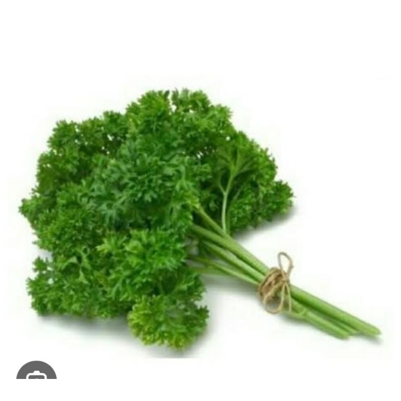 

DAUN PARSLY FRESH