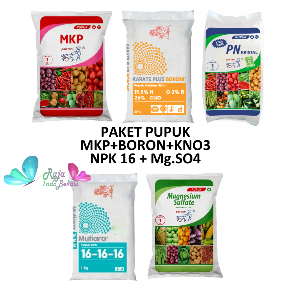 PAKET PUPUK ANGGUR EKONOMIS MASA PERTUMBUHAN DAN PEMBUAHAN