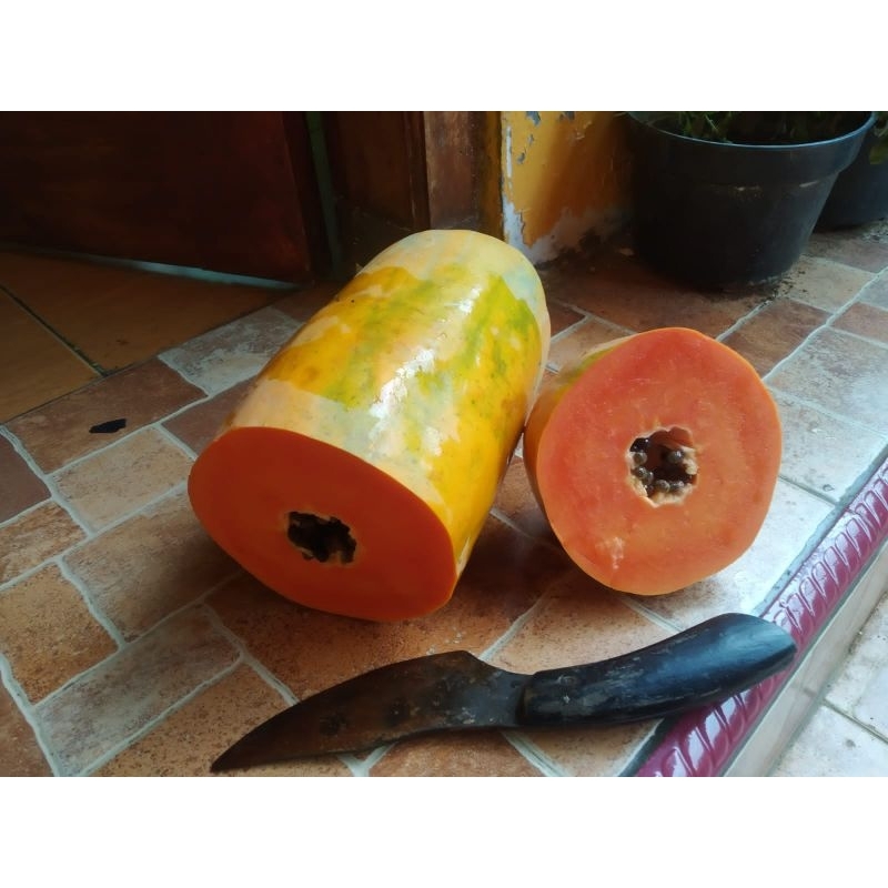 

pepaya california 1 pcs (1000 gr)