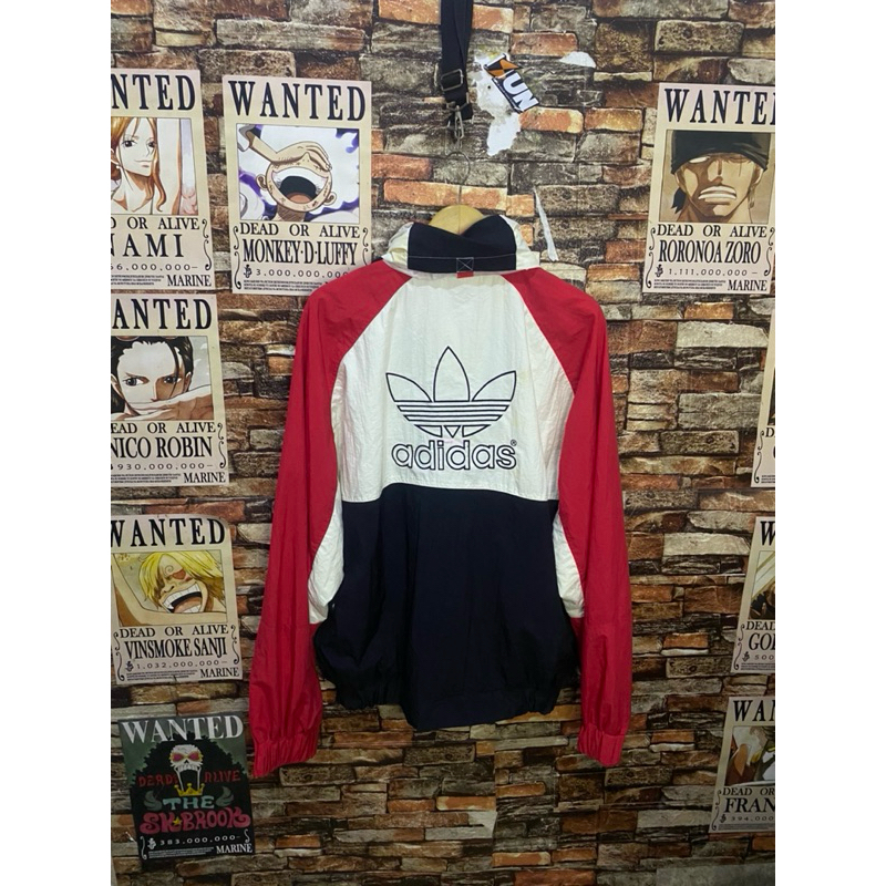 Adidas colorblock hidden hoodie